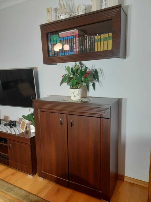 Komplet mebli do salonu