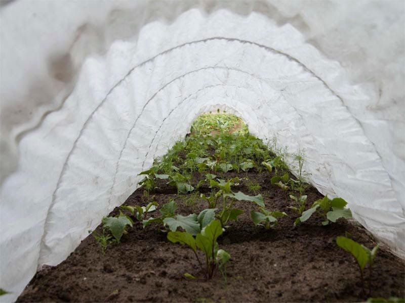 Парник з агроволокна  "Єконом" 40 г/м2 від 3м до 8м . 80смх120см