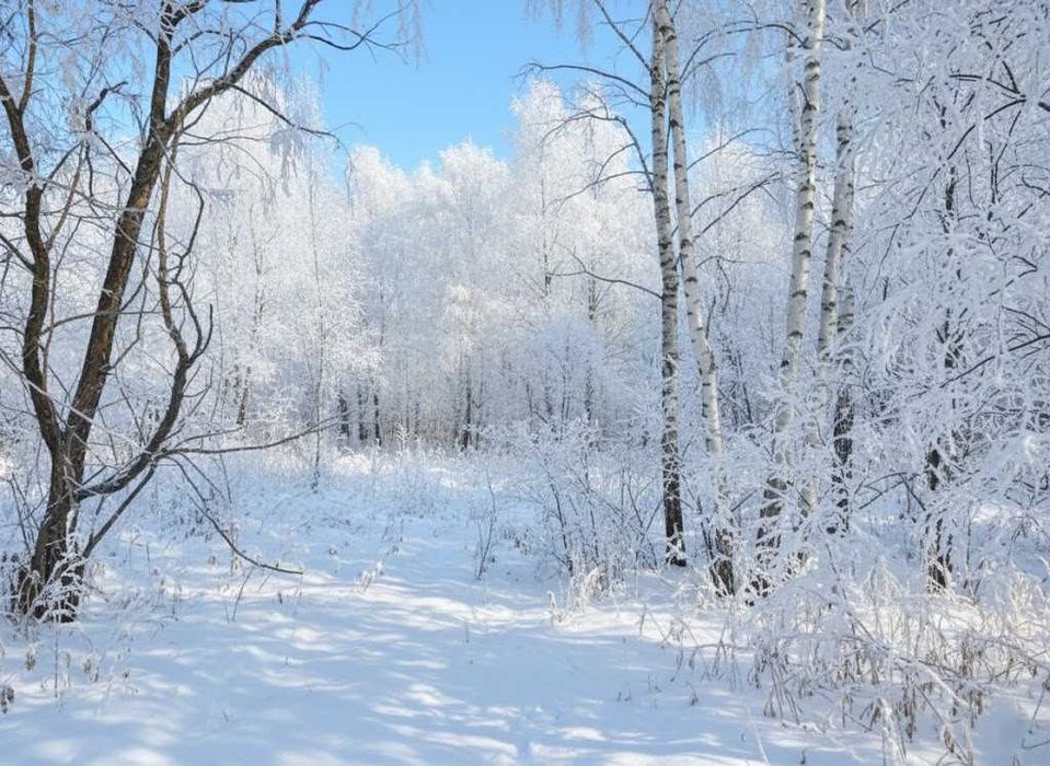 Продаж ділянки 10сот під дачну забудову. Фасад-25м. с.Улянівка. ID:745