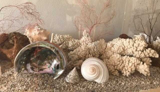 Reptilário com móvel e acessórios