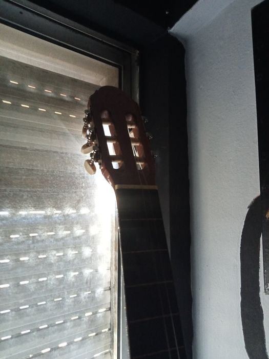 Flamenco Viola as New64297476659075122