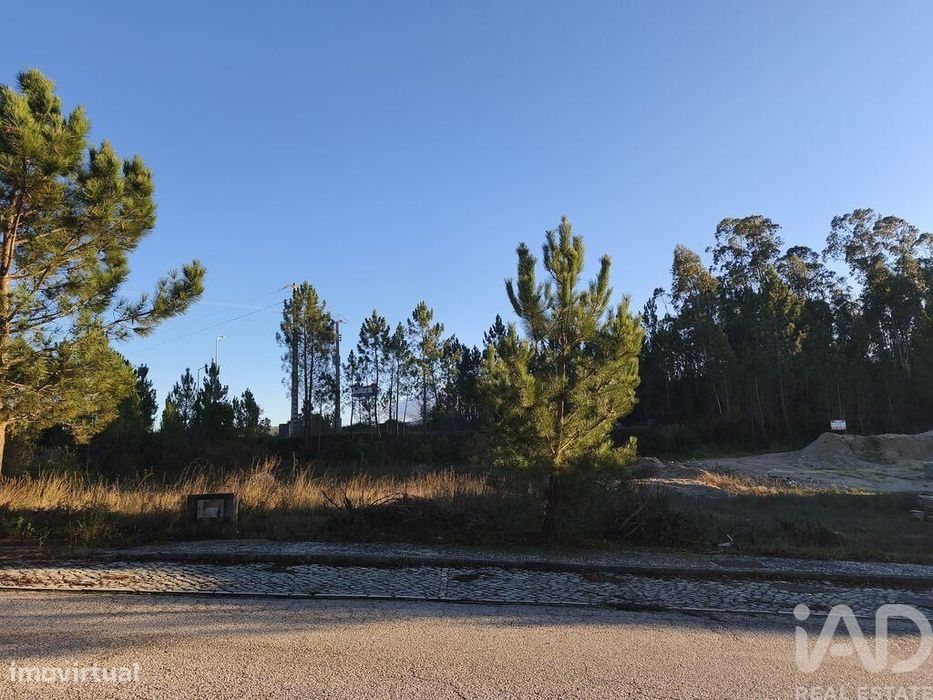 Terreno para construção em Ansião