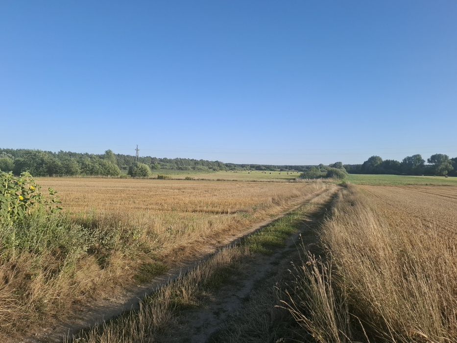 Sprzedam łąkę 2.72ha