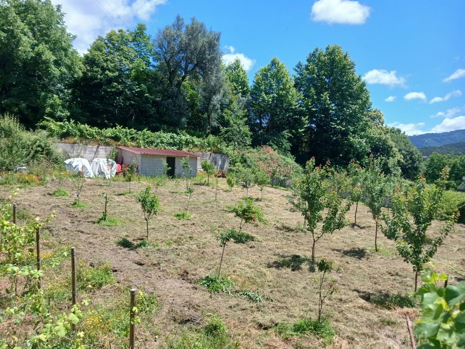 Vendo terreno ( dois artigos rusticos)e casa para reconstruir (artigo urbano)