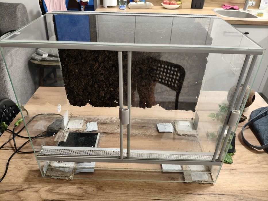 Terarium dla węża jaszczurki