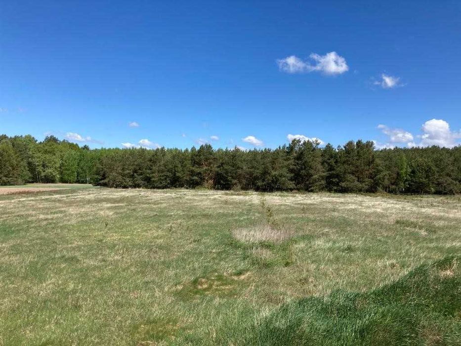 Działka rolna 3,24ha Ruda, gmina Korczew, Nadbużański Park Krajobrazowy - Widok 6