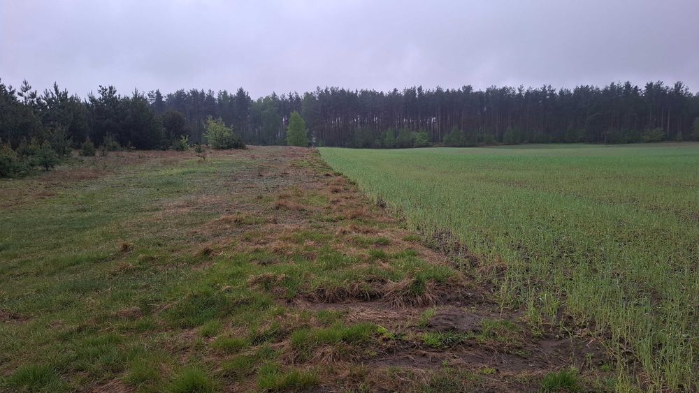 Działki budowlane Stara Kiszewa