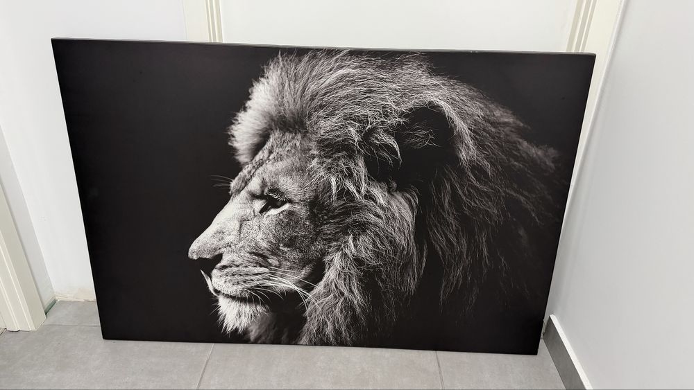 Quadro imagem de um leão medidas 118x78
