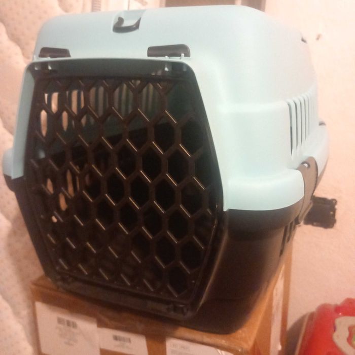 Cx transporte animais