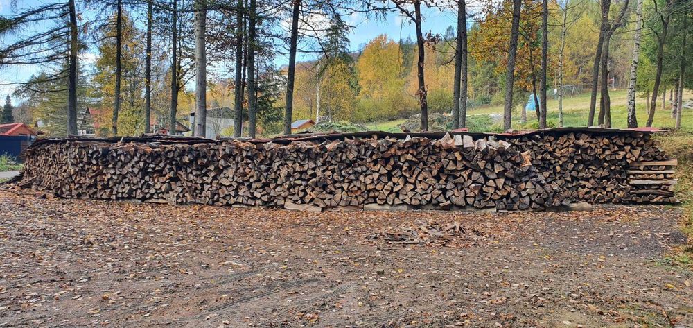 Sprzedam buka suchego