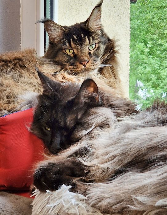 Angielski lekcje konwersacyjnie korepetycje