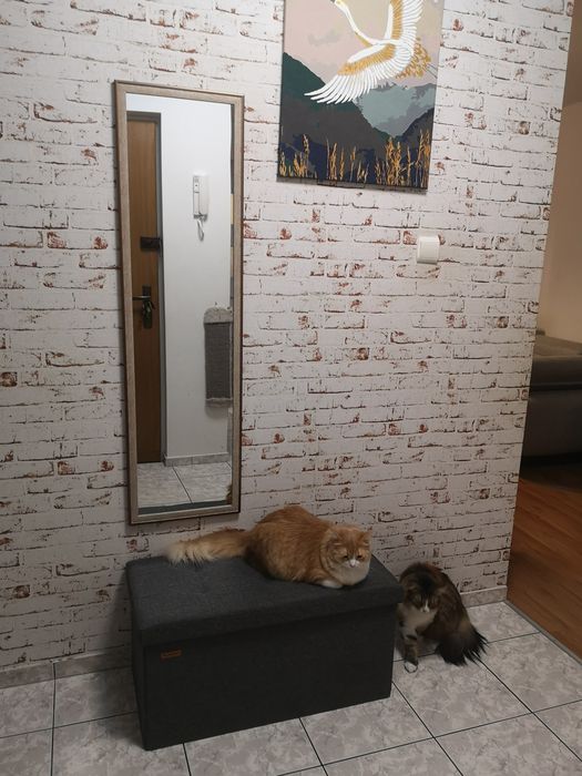 Mieszkanie 48 m², Lublin, ul. Różana, Os. Czuby - Więcej