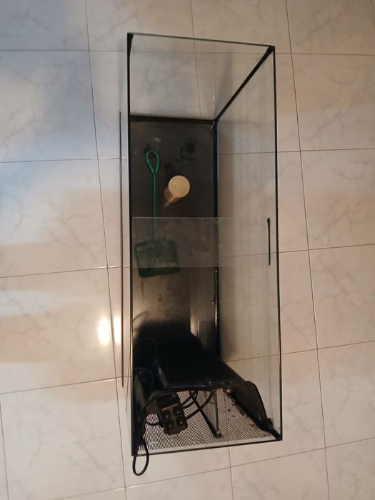 Aquário para peixes