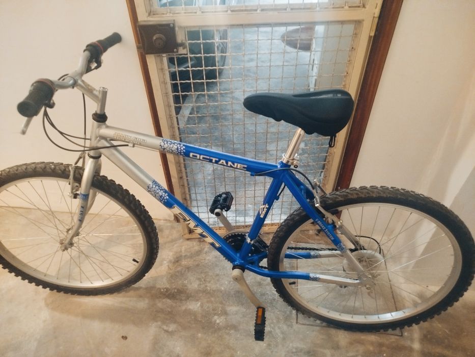 Bicicleta adulto