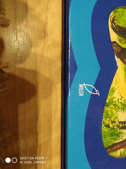 Ania i Piotrek Wielka wyprawa- Książka