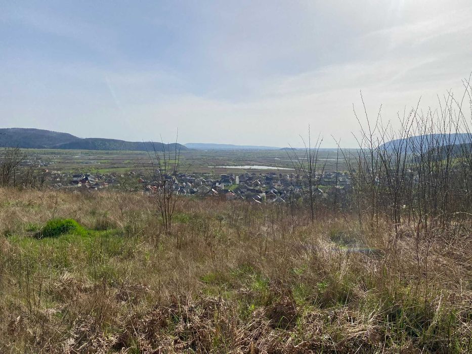 Земельна ділянка