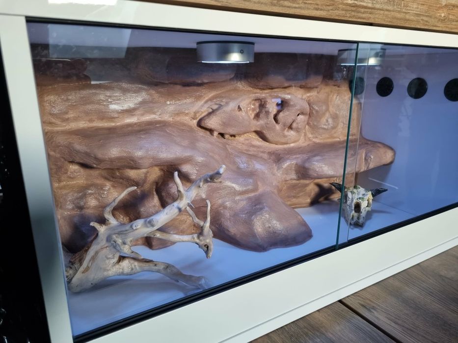 Tarrarium podświetlane.