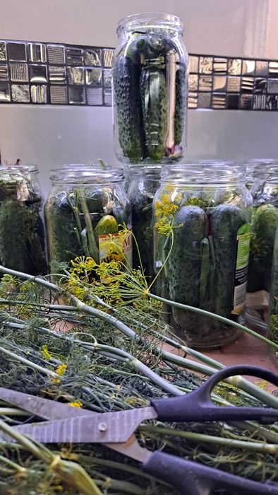 Buraczki domowej roboty i nie tylko...