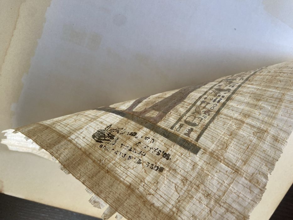 Papiro Egito em bom estado
