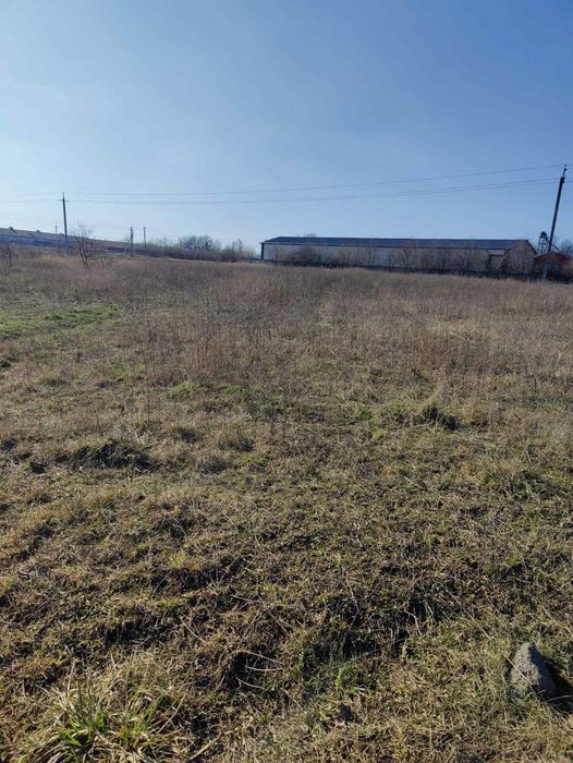 Продам землю в с. Гавришівка