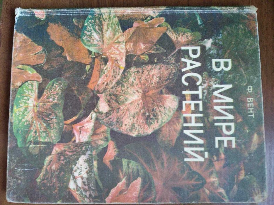 Перевод Нового Мира 2007 Года