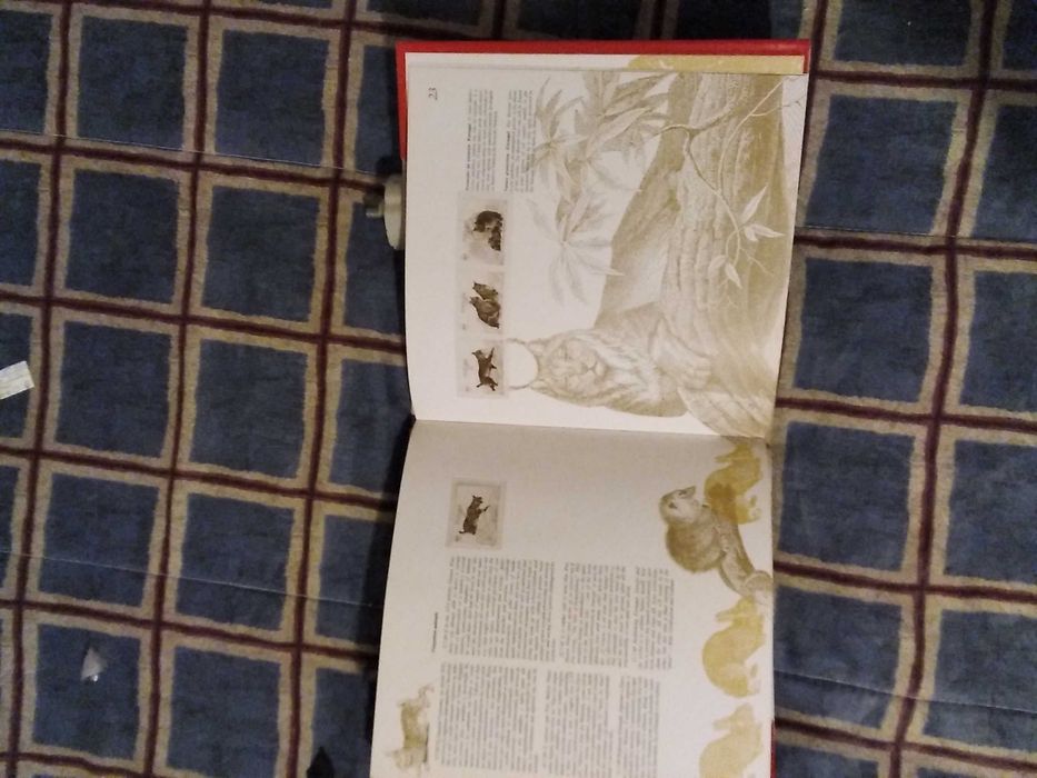 1993 Livro Portugal em Selos MNH **