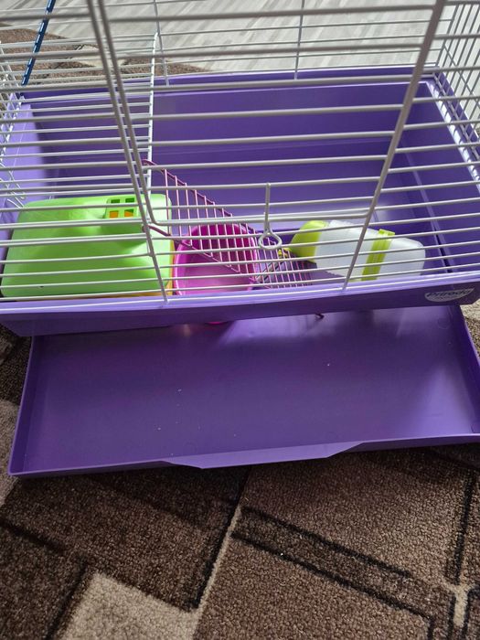 Клітка для гризунів