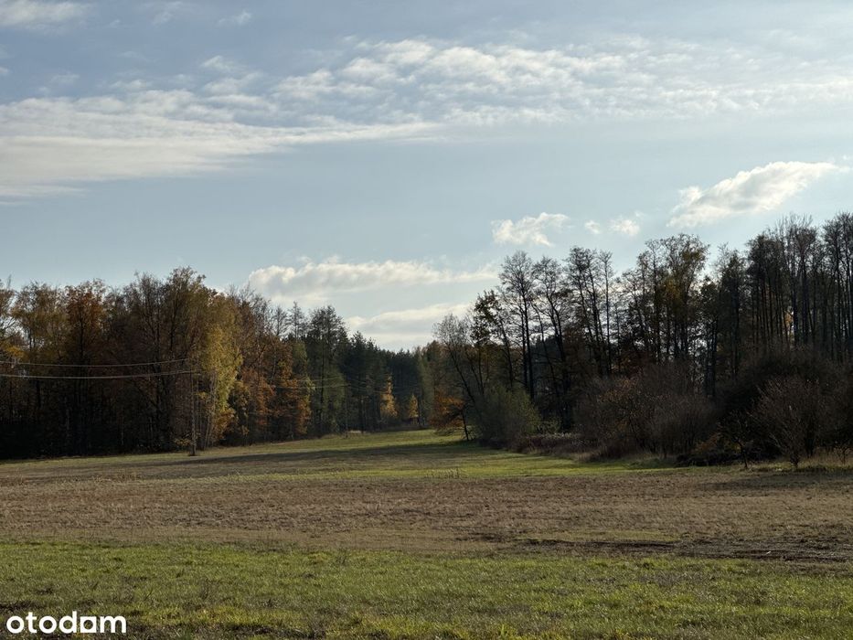 Działka 1000m²   Blisko las prąd na dzialce - Widok 6