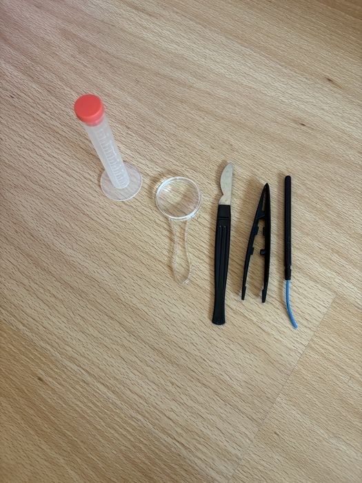 Microscópio júnior