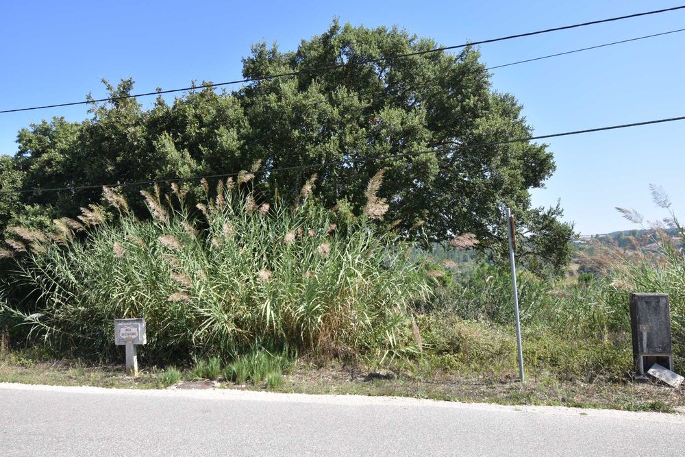 Terreno à venda em Rua Principal - TORRE