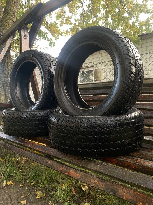Шини зимові 205. 55. 16