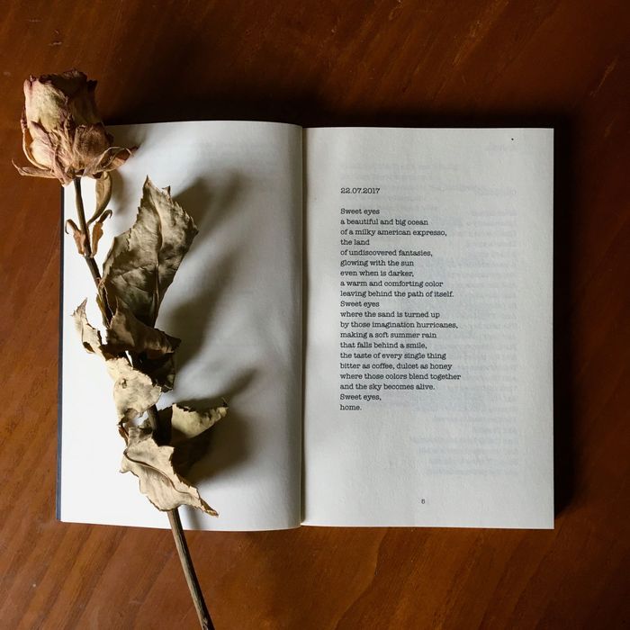 Livro Inglês "Pleiades"