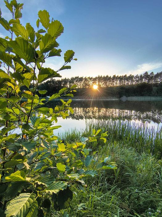 Domek nad jeziorem 'w sam las'