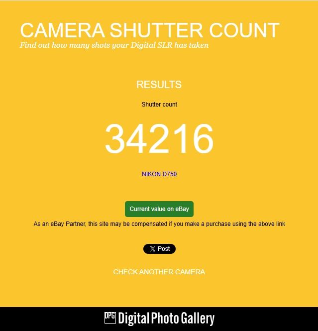 Nikon D750 + 70-300 VR + 24-85 VR