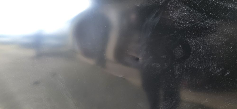 Capon Renalt Clio 4  2015