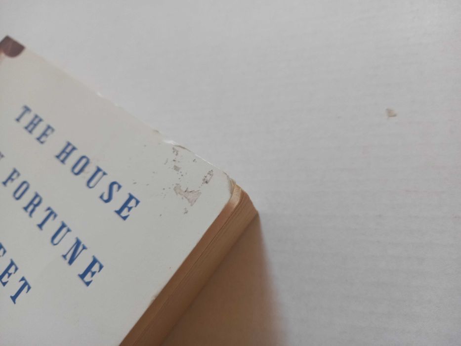 The house on Fortune Street Margot Livesey