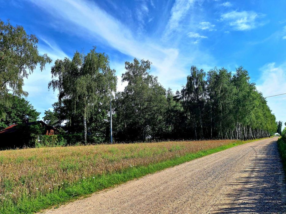 Siedlisko - nieruchomość gruntowa zabudowana - dom parterowy + 2 budynki gospodarcze - Widok 5