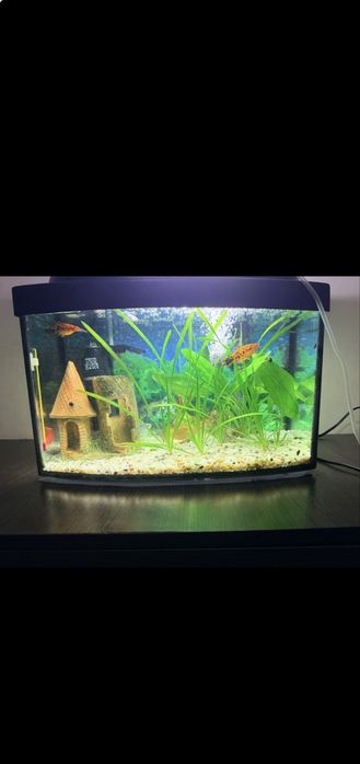 Продам аквариум 25 л (полностью рабочий комплект)