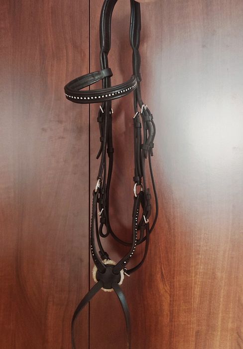 Ogłowie meksykańskie Full