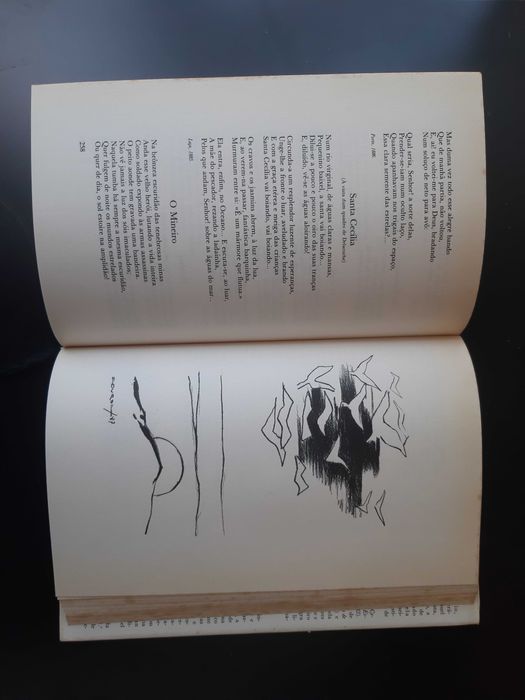 Poesia Completa - António Nobre