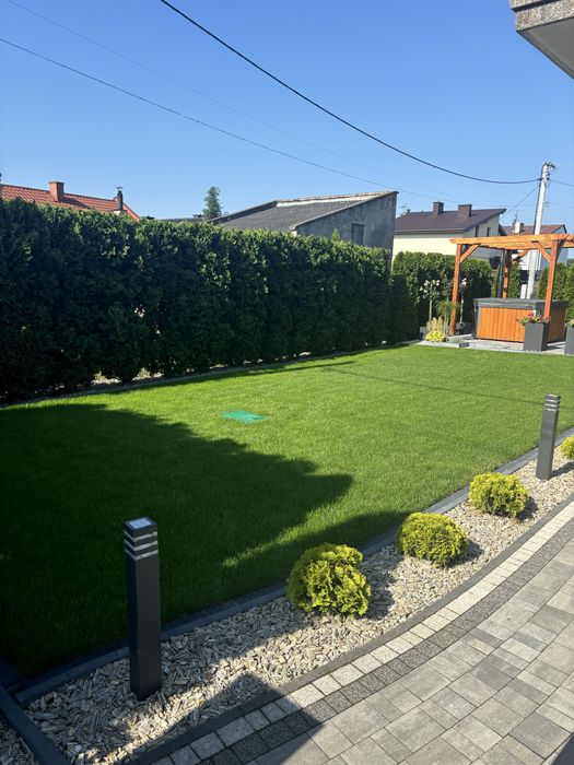 Usługi ogrodnicze, koszenie, zakładanie trawników, przycinanie tuj