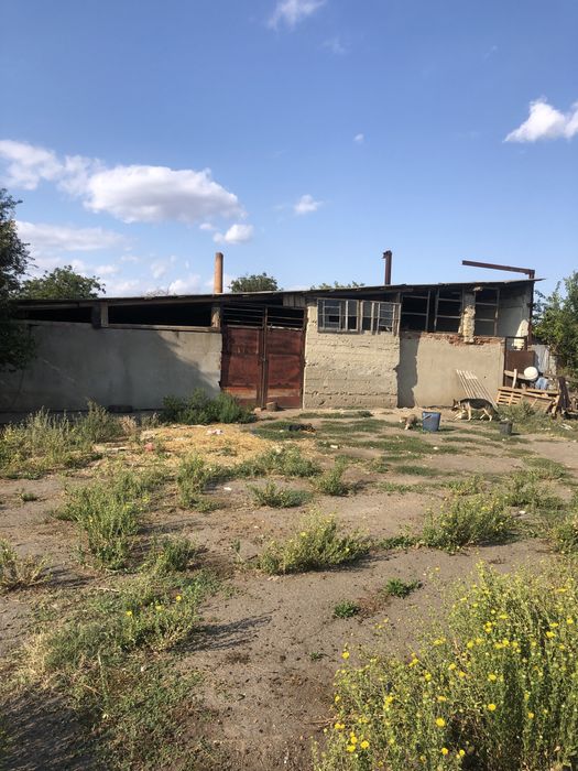 Продам ферму, сарай