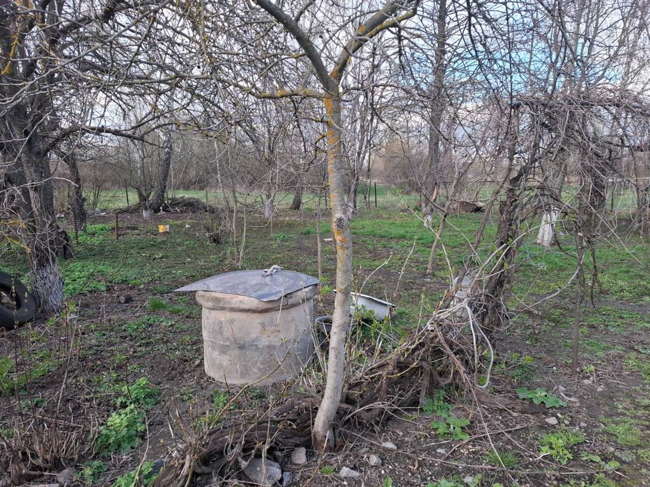 Будинок Турбів , поруч озеро та ліс
