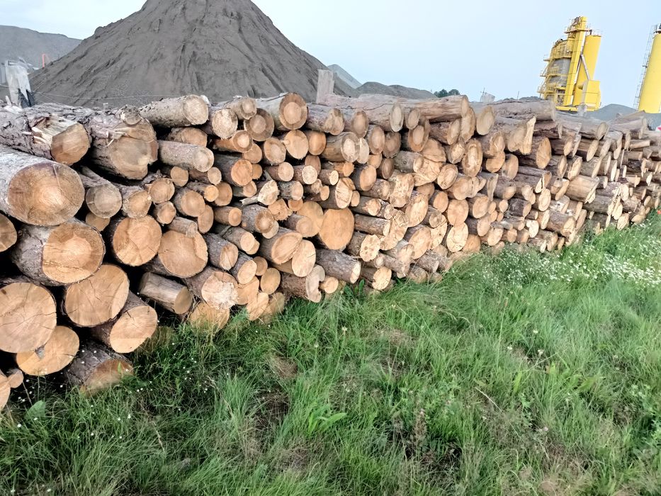 Drewno opałowe suche