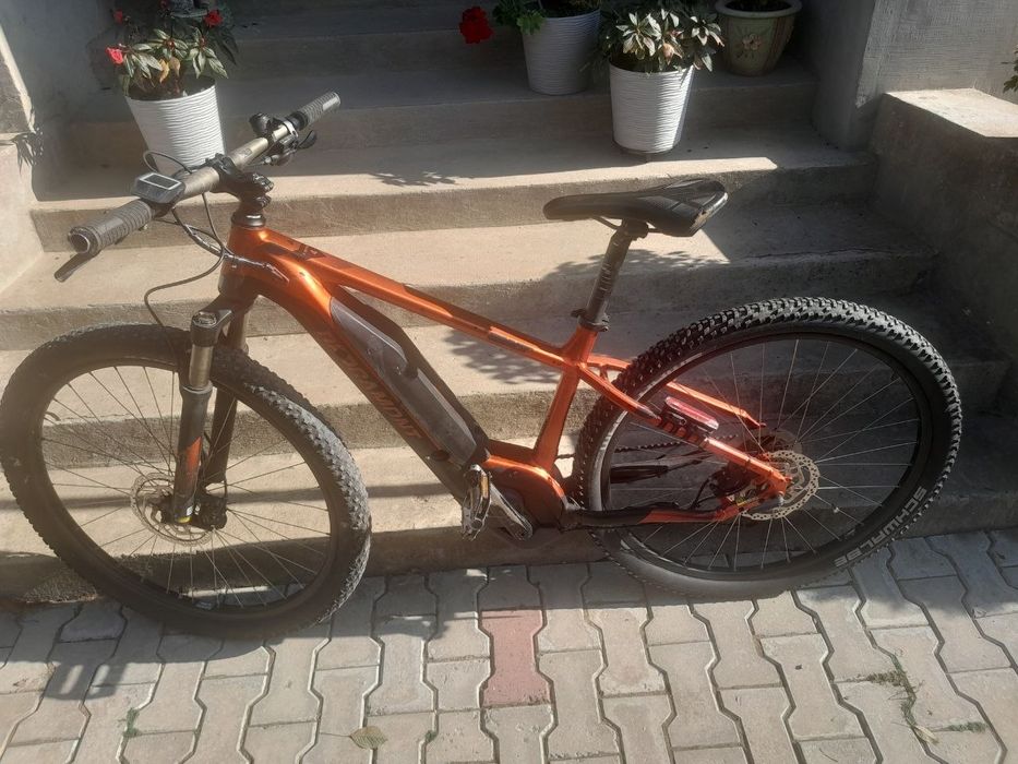 Bergamont на bocsh