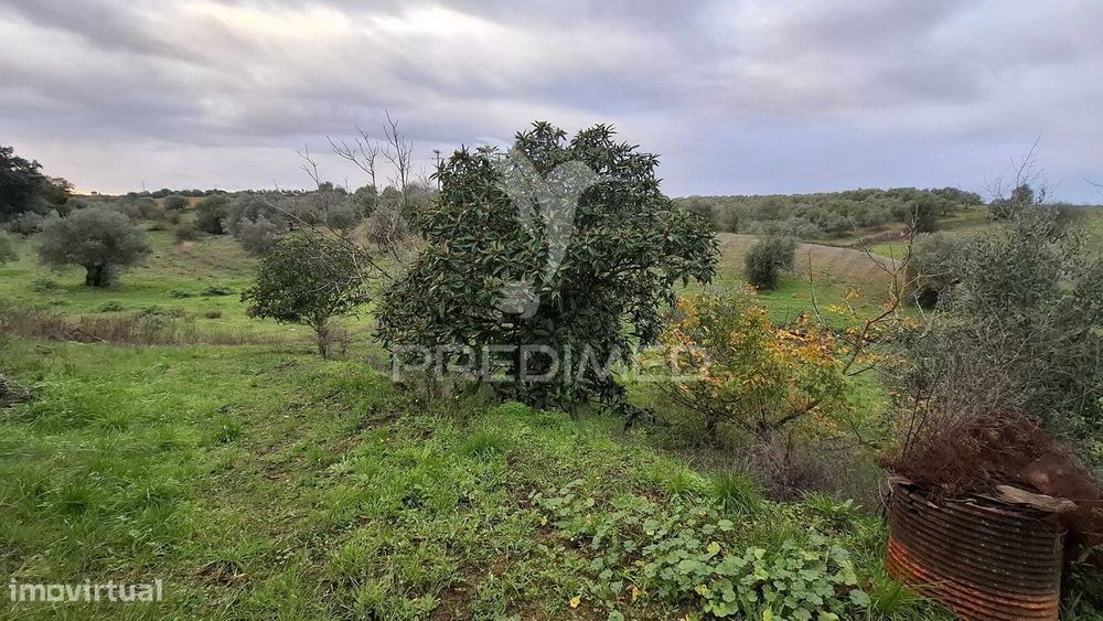 Moradia T1 pronta a Habitar com Terreno, Santos, Santarém.