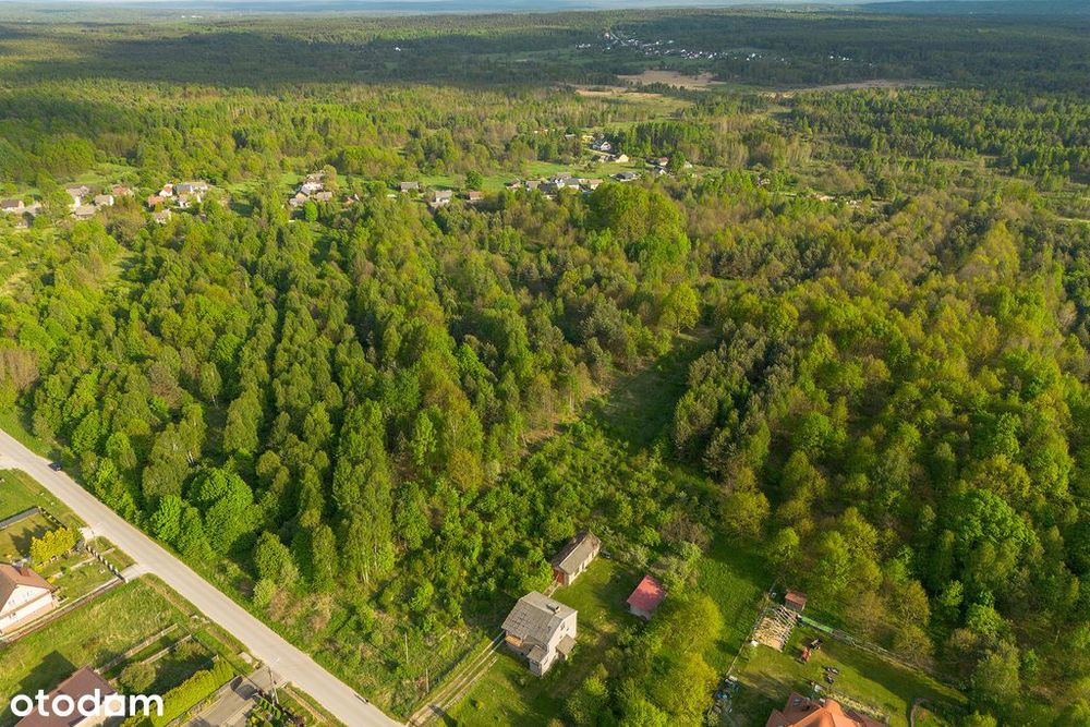 Działka w malowniczej lokalizacji - Widok 5