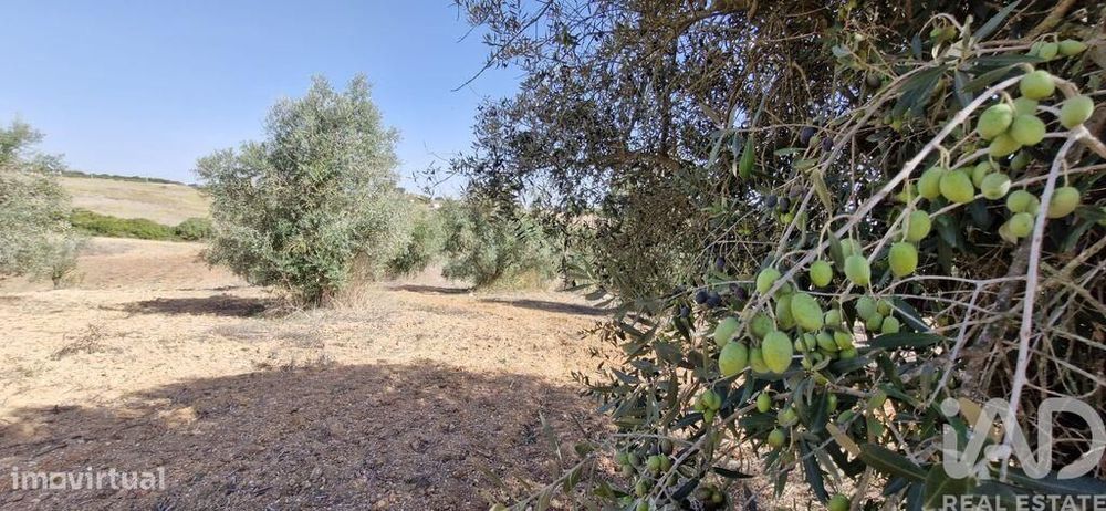 Terreno em Azambujeira e Malaqueijo de 12080,00 m2