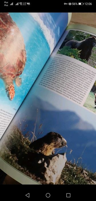 Książka Ekologia i ochrona środowiska
