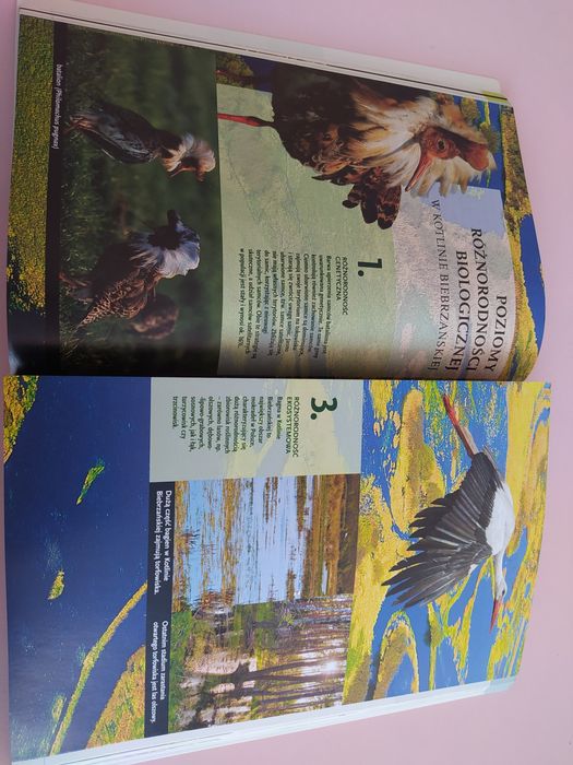 Biologia po prostu podręcznik WSIP